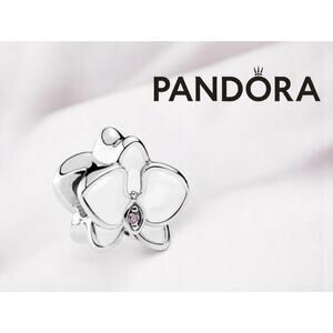 Authentic Pandora Sterling Silver Charm - NWT